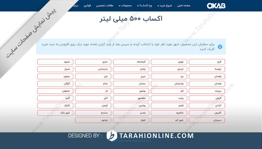 طراحی سایت فروشگاهی اکساب - تصویر 6
